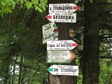 IMG_0174