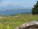 IMG_0217