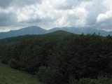 IMG_0286