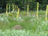 IMG_0289