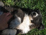 IMG_0320