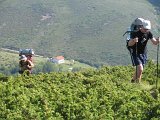 IMG_0322