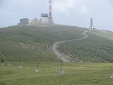 IMG_0330