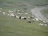 IMG_0331