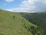 IMG_0367