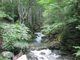 IMG_0373