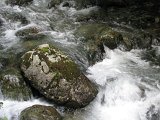 IMG_0374