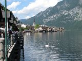 IMG_0309