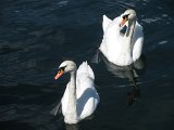 IMG_0313