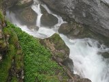 IMG_0339