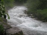 IMG_0360