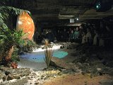 IMG_0431